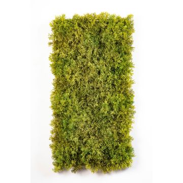 Tappetino di muschio islandese MUSCIDA, verde-marrone, difficilmente infiammabile, 25x50cm