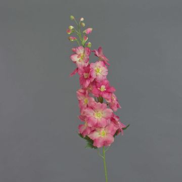 Delphinium artificiale SETSUKO, rosa-fucsia, 95cm