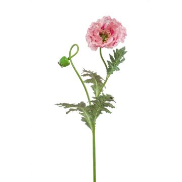 Papavero decorativo HAFIDA, rosa, 100cm