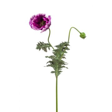 Papavero decorativo HAFIDA, viola, 100cm