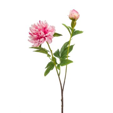 Peonia finta BADIS, rosa, 75cm