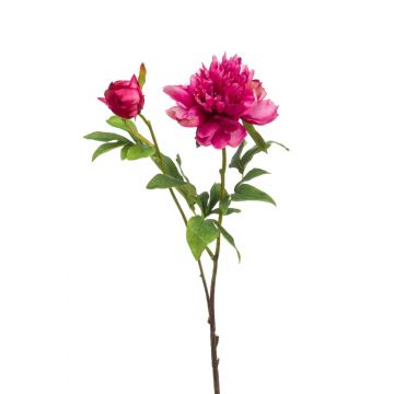 Peonia artificiale BADIS, rosa, 75cm