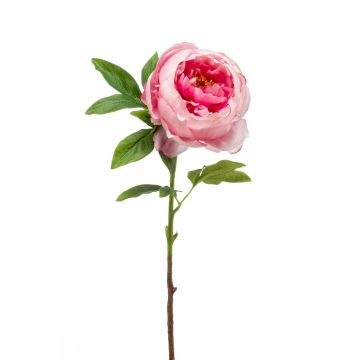 Peonia artificiale BARBRO, rosa-crema, 65cm
