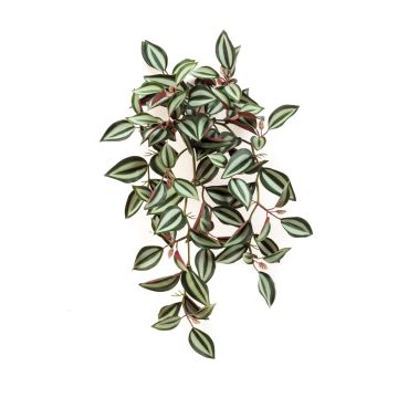 Tradescantia Zebrina artificiale MBARKA su stelo, verde-rosso, 40cm