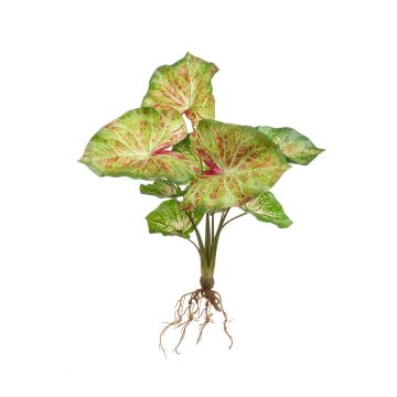 Syngonium podophyllum artificiale AKAYU artificiale, stelo, radici, verde-rosso, 40cm