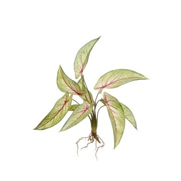 Calathea Ornata artificiale ASAGI, stelo, radici, verde-rosso, 40cm