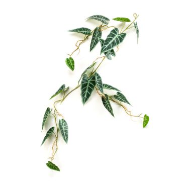 Ghirlanda finta di alocasia sanderiana SEISHIN, verde-bianco, 110cm