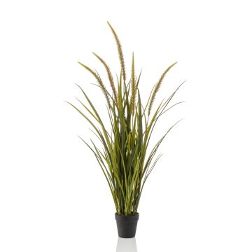 Erba finta coda di volpe ANOUR con pannocchie, verde-marrone, 115cm