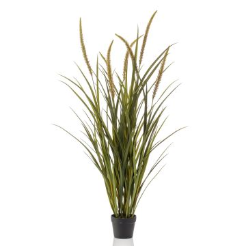 Erba finta coda di volpe ANOUR con pannocchie, verde-marrone, 130cm