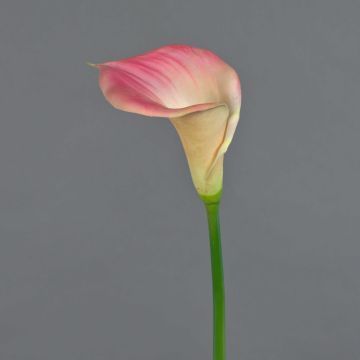 Calla finta DAISCHI, rosa-crema, 70cm