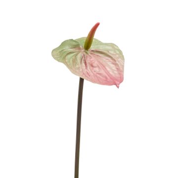 Anthurium artificiale YUSEI, verde-rosa, 65cm