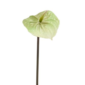 Anthurium artificiale YUSEI, verde-crema, 65cm