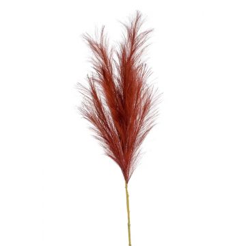 Pannocchia di erba della pampa artificiale AMATSIA, rosso-marrone, 115cm