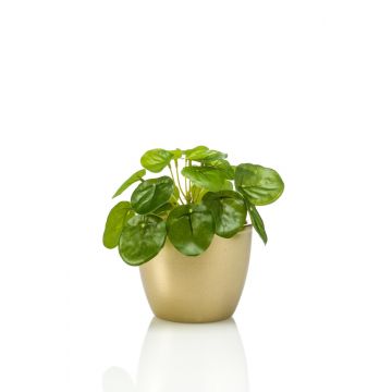Pilea peperomioides artificiale SYBIL in vaso di ceramica dorato, verde, 13cm