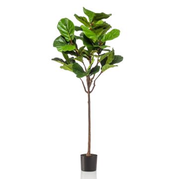 Ficus Lyrata artificiale ABIULA, tronco vero, verde, 155cm