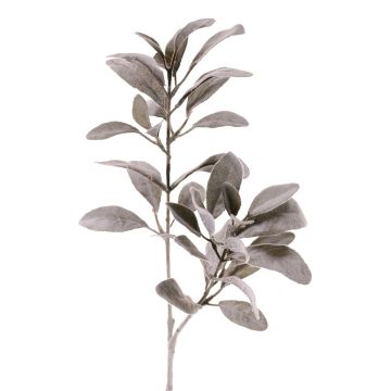Ramo finto di salvia VEVEY, grigio-verde, 70 cm