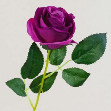 Rosa artificiale SEENSA, viola scuro, 55cm, Ø7cm