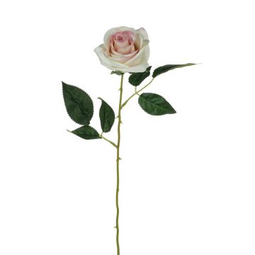 Rosa artificiale SEENSA, crema-rosa, 55cm, Ø7cm