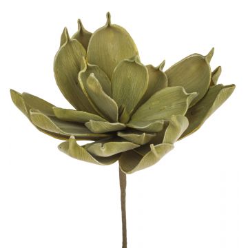 Aloe Vera artificiale LIERA, verde oliva, 30cm