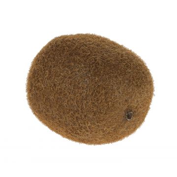 Kiwi di plastica SURATA, marrone, 6cm