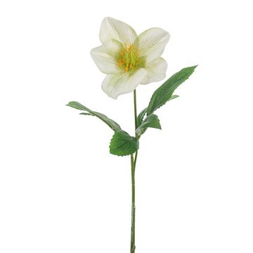 Rosa di Natale artificiale GARONA, bianco-verde, 30cm