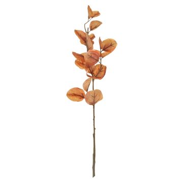 Ramo di eucalipto artificiale SOPONG, marrone, 60cm