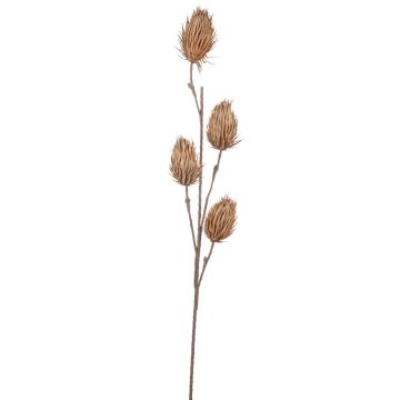 Cardo artificiale MISAEL, marrone chiaro, 120cm