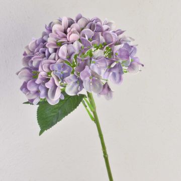 Ortensia artificiale RELENA, viola chiaro, 65cm