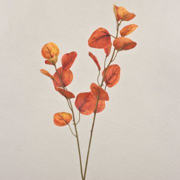 Ramo di eucalipto artificiale SOPONG, rosso-arancione, 80cm
