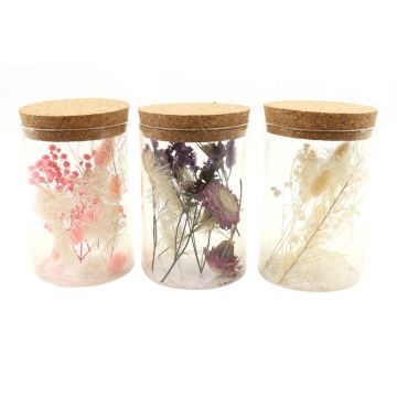 Fiori secchi in vetro FELICITY, 3 pezzi, rosa-viola-bianco, 13cm, Ø8cm