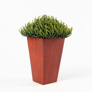Cipresso artificiale EDWINA in vaso di legno, verde, 25cm