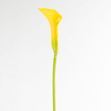 Calla artificiale EILEEN, giallo, 75cm