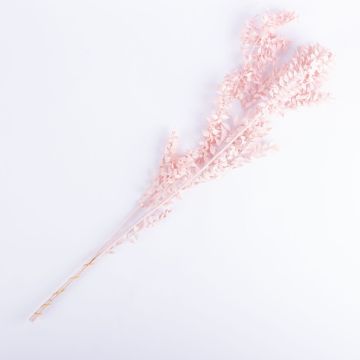 Mazzo di ruscus essiccato SIMONETTA, rosa, 70cm