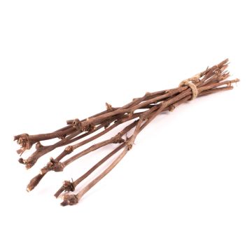 Rami di vite RAGGA in mazzo, 10 pezzi, naturale, 60cm