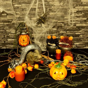 Halloween - Zucche spaventose