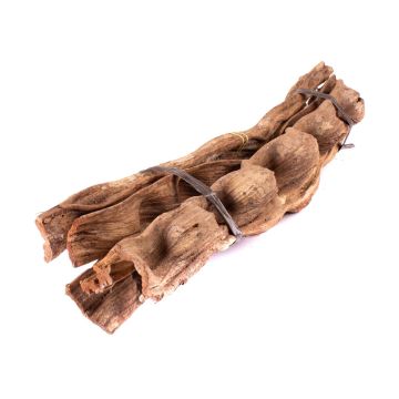 Mazzo di pezzi di liana essiccata Cipo Escada NALLESTE, 5 pezzi, naturale, 60 cm
