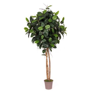 Albero di gomma artificiale LENELOTTE, tronchi naturali, verde, 200 cm - Made in Italy