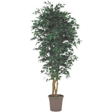 Acero giapponese artificiale KESCHA, tronchi naturali, verde, 250 cm - Made in Italy