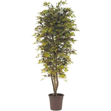 Acero giapponese artificiale KESCHA, tronchi naturali, verde-rosso, 200 cm - Made in Italy