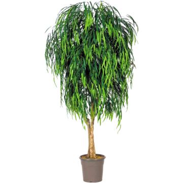 Salice piangente artificiale MORINO, tronchi reali, verde, crossdoor, 150 cm - Made in Italy