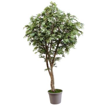 Acero giapponese artificiale MYKYTA, tronchi naturali, verde-rosso, 100 cm - Made in Italy
