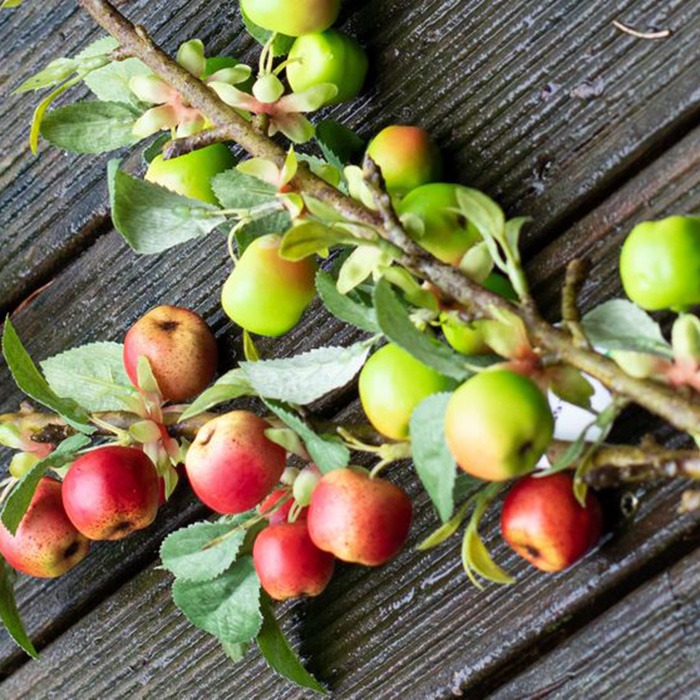 Frutta / Piante dalla A alla Z