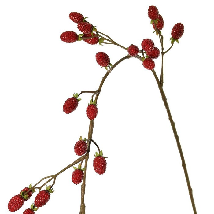 Frutta appesa