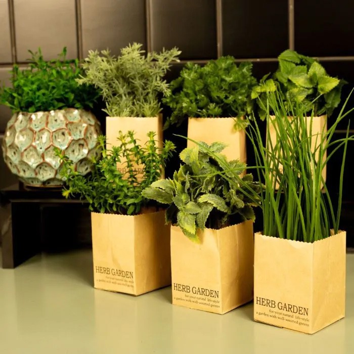 La cucina verde