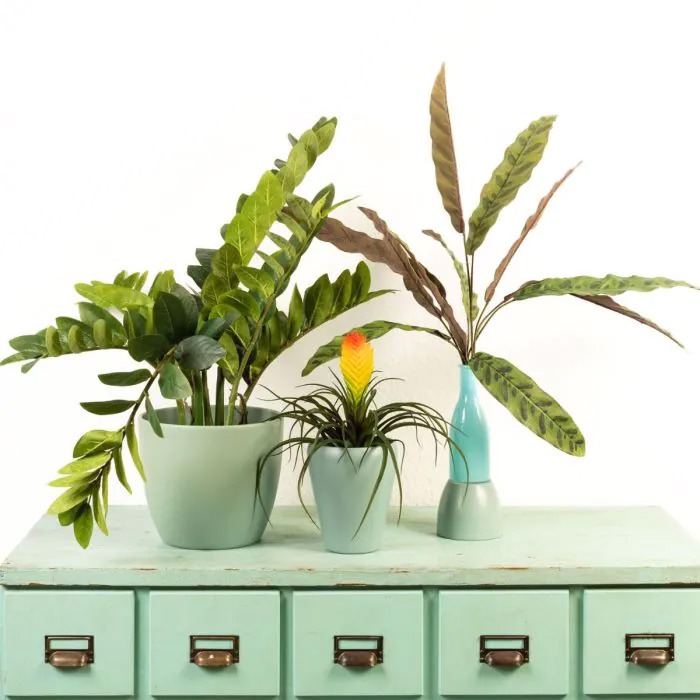 Onda verde