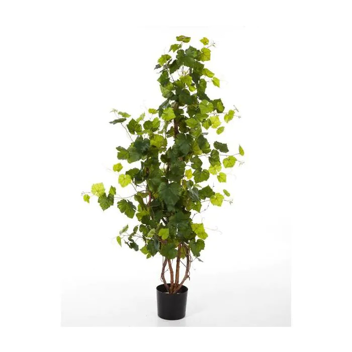 Viti