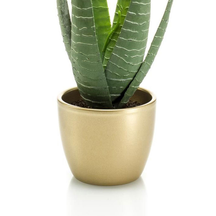 in una fioriera decorativa