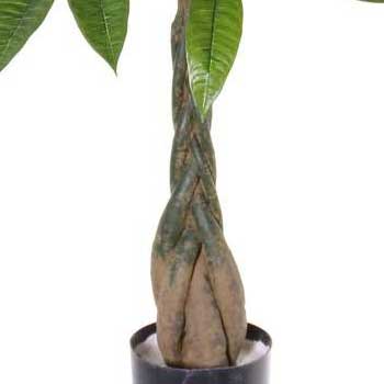 con tronco artificiale