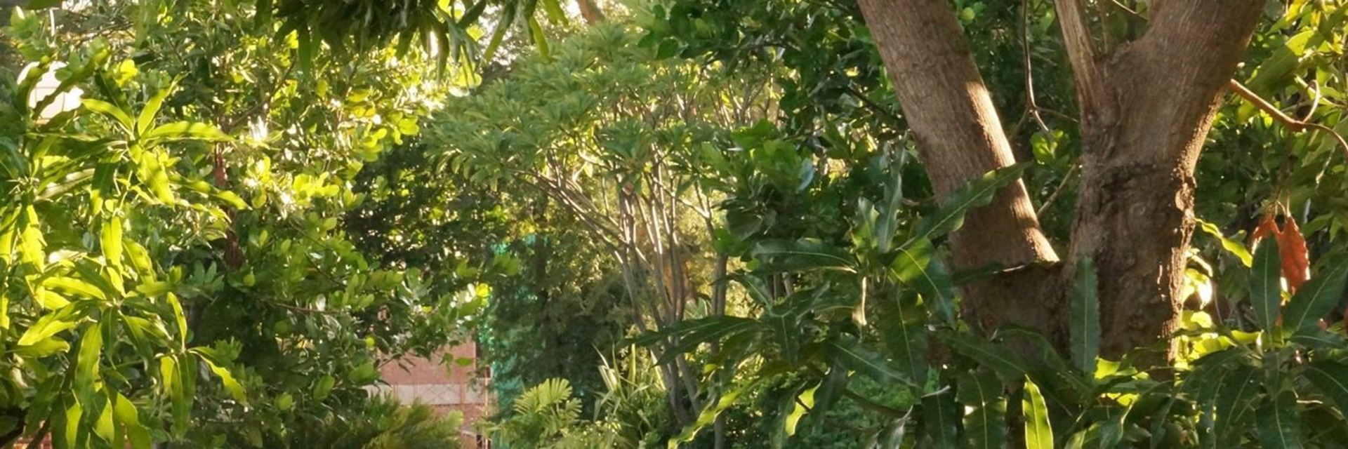 Alberi artificiali realistici