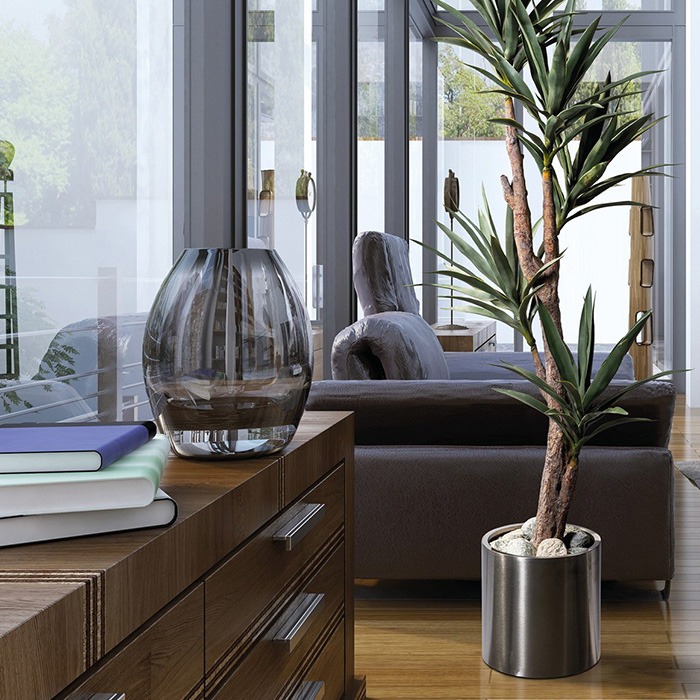 Piante dalla A alla Z